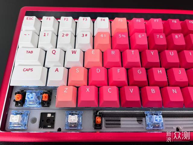 雙十一撿漏指南 達爾優A84 Pro、A900虎擎、拾音燈三款好物分享